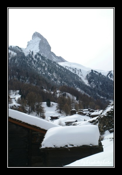 06 Cervin en hiver